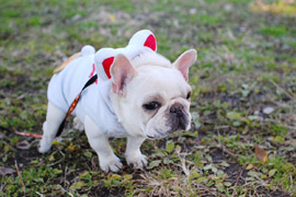 071223_8.jpg