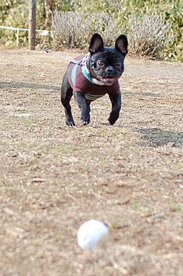 080223_2.jpg